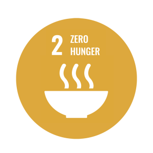 SDG 2 Zero Hunger