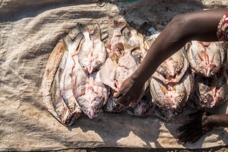 Fisherman in Kenya