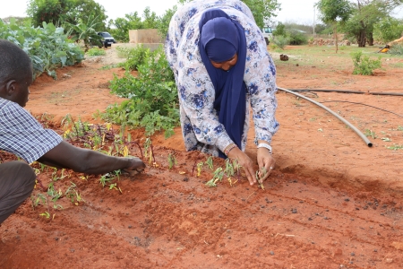 Habiba plants in her farm