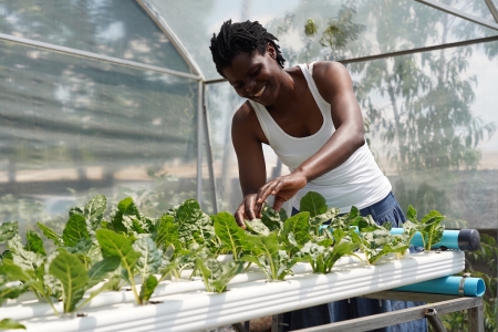Ruth Rugeje is one is an urban farmer from Gweru who uses hydroponics to grow vegetables.