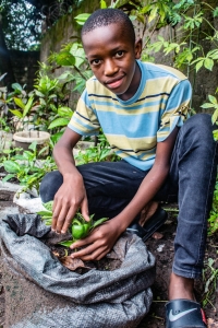 David builds his own hydroponics system in Zambia